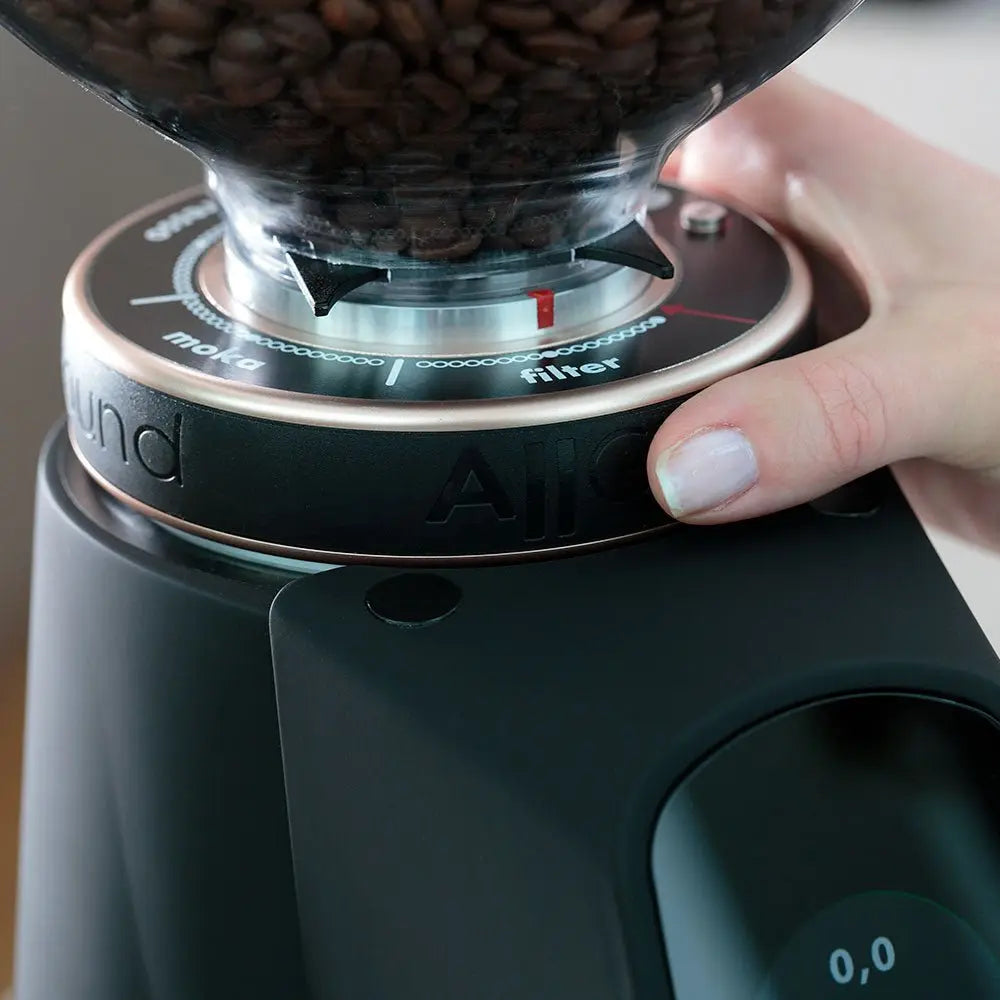 Fiorenzato | Allground Coffee Grinder - Espresso Retro Hong Kong
