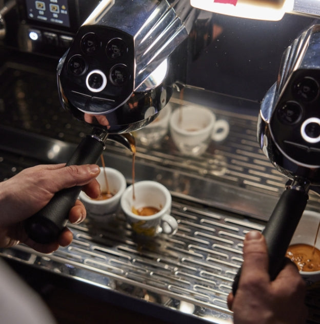 Victoria Arduino | Eagle Tempo NEO 2 Groups Commercial Espresso Coffee Machine - Espresso Retro Hong Kong