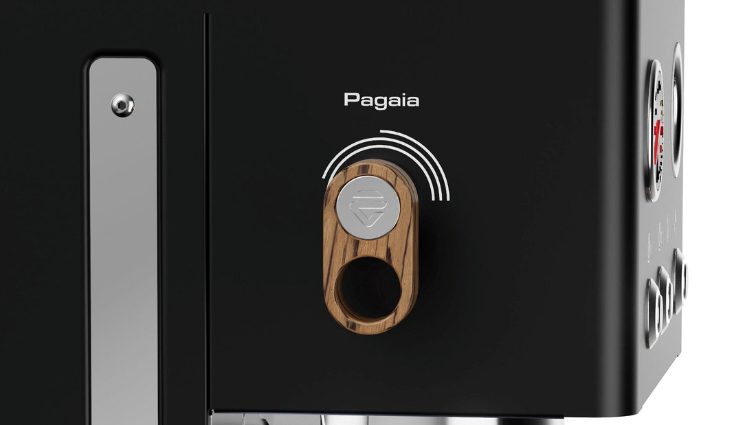 The Pagaia lever on a Lelit espresso machine