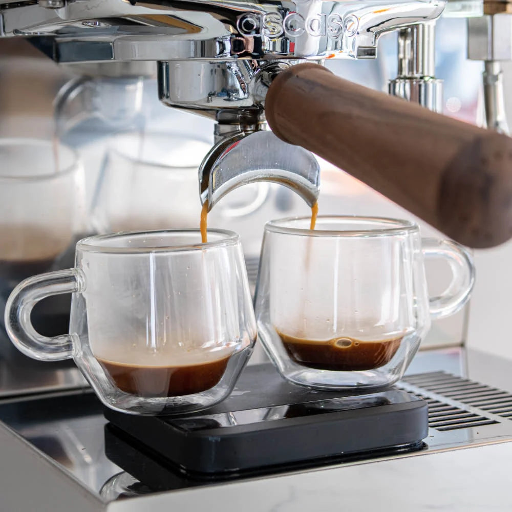 Ascaso | Steel Duo PID Espresso Coffee Machine